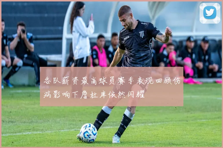 各队薪资最高球员赛季表现回顾伤病影响下詹杜库依然闪耀