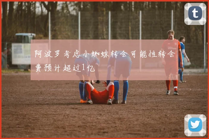 阿波罗考虑小蜘蛛转会可能性转会费预计超过1亿